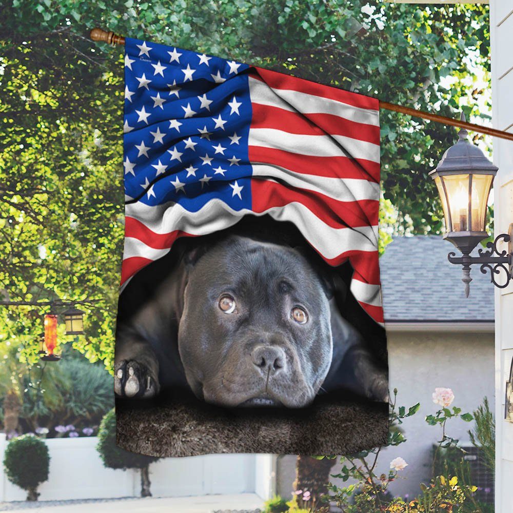 Staffordshire Bull Terrier Patriot American Flag THH3346F