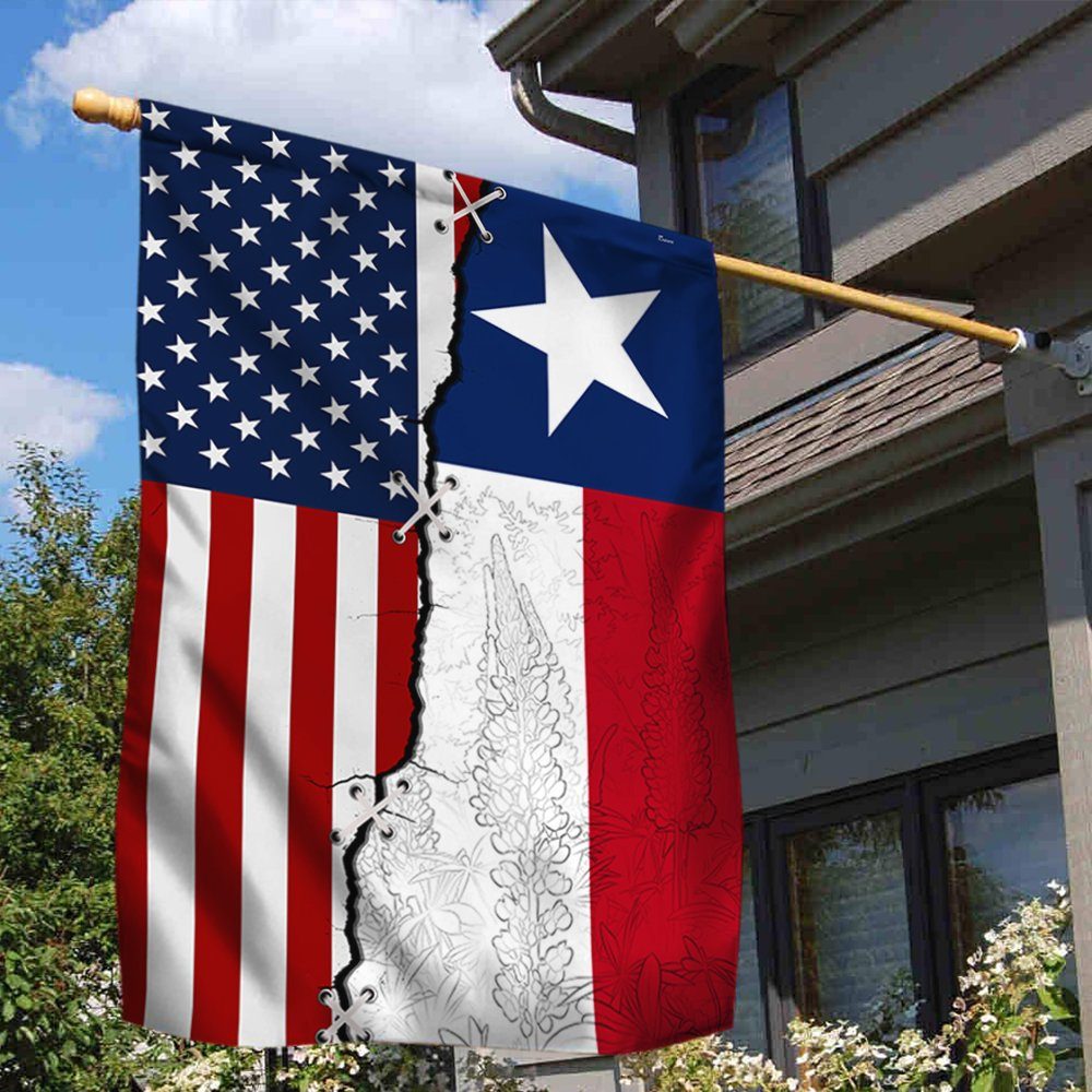 Texas And American Flag ANT137Fv1