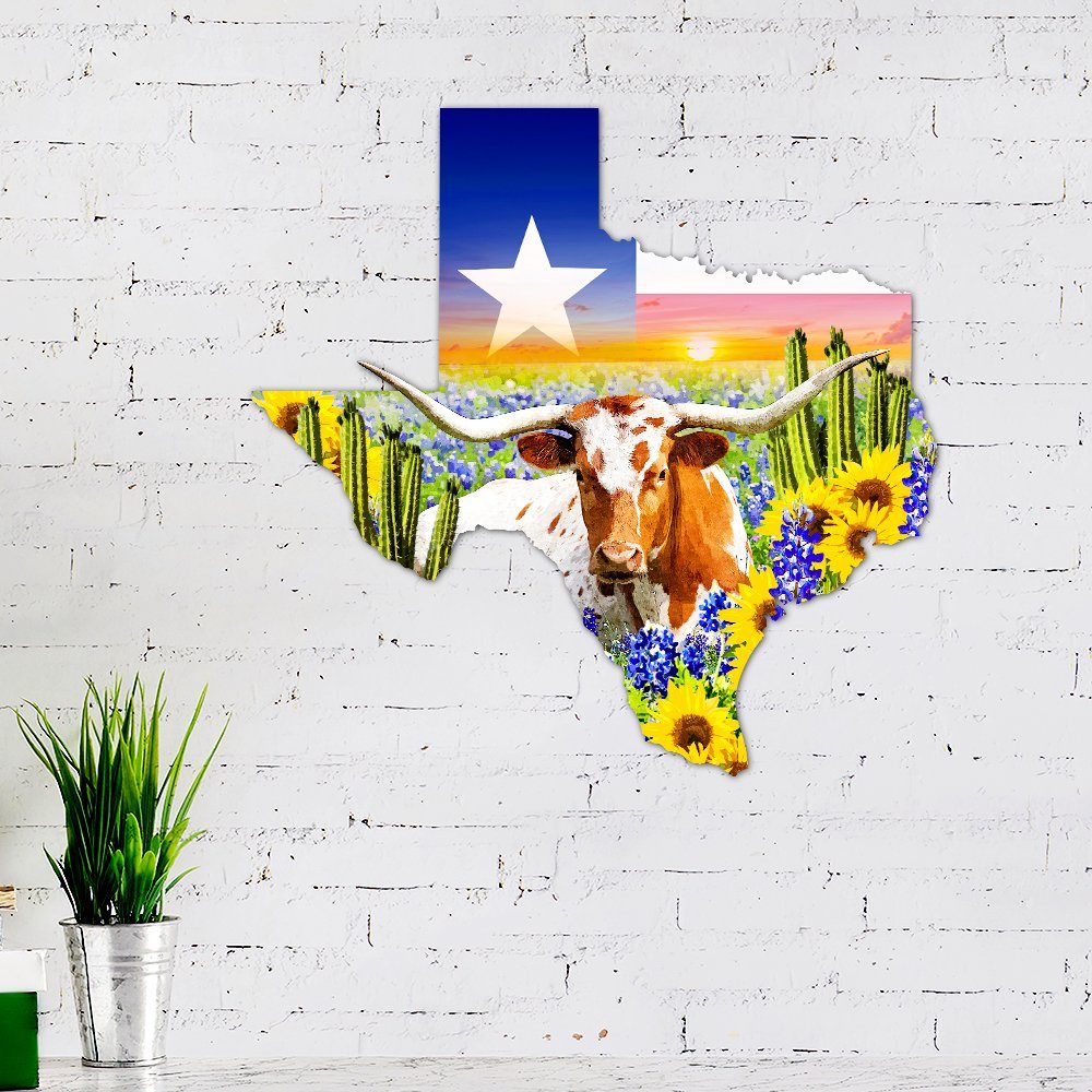 Texas Country Metal Sign State Of Mind BNN347MSv1