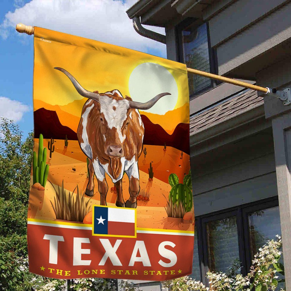 Texas Flag The Lone Star States LNT389F