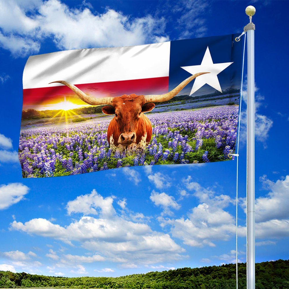 Texas Grommet Flag Bright Star LNT167GF