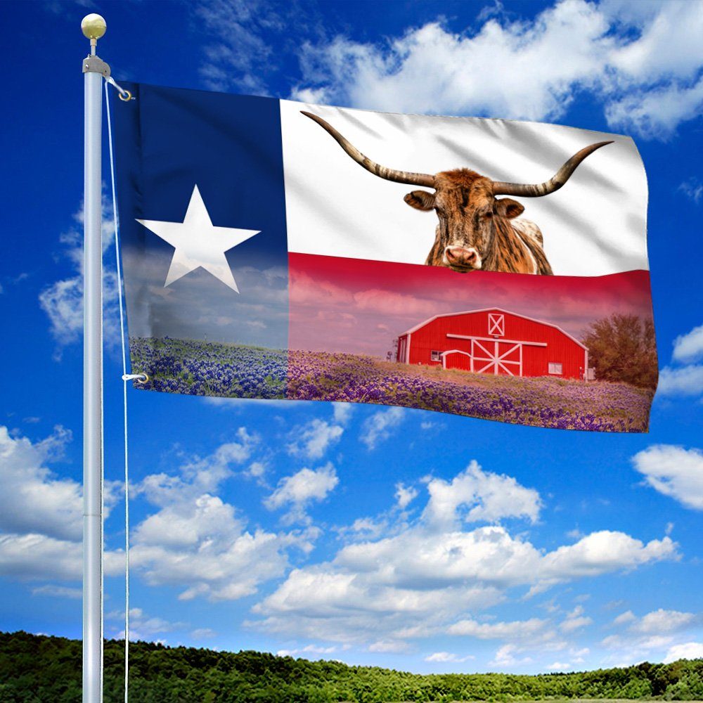 Texas Longhorn Grommet Flag THN3505GF