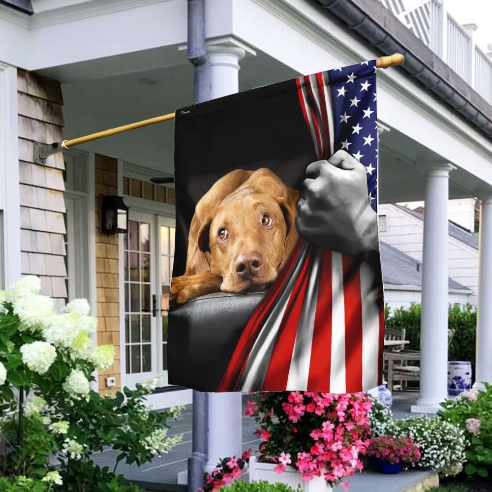 Vizsla American US Flag