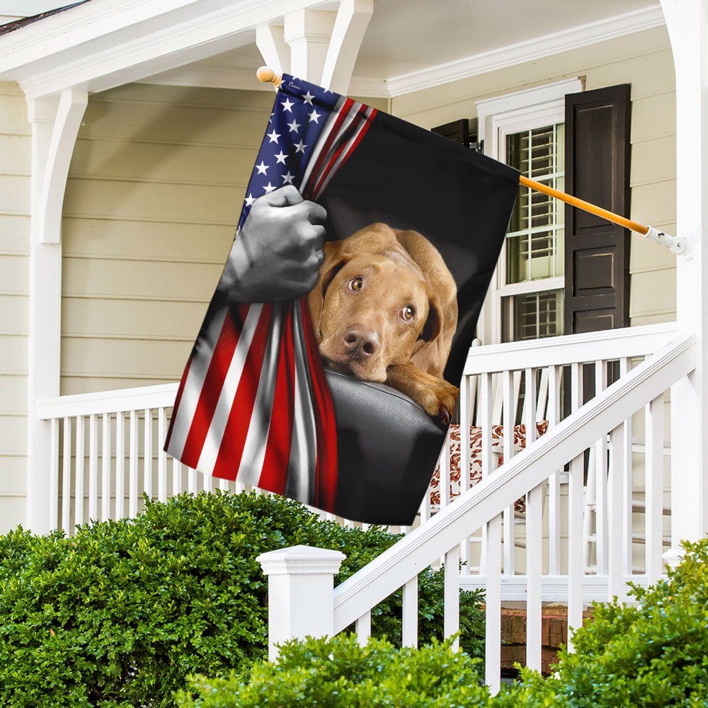 Vizsla American US Flag