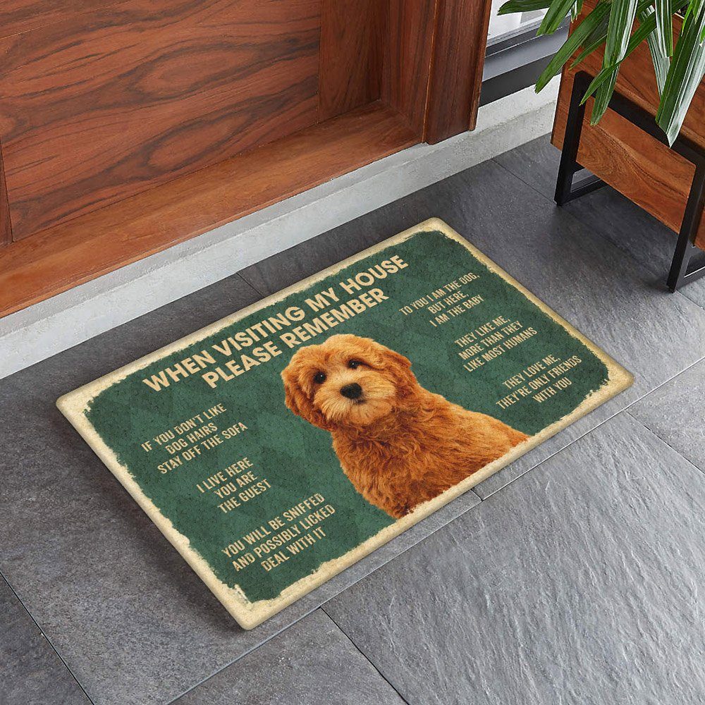 When Visiting My House Goldendoodle Doormat TRN1462DM