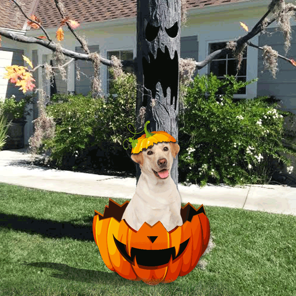 Yellow Labrador Retriever Pumpkin Halloween Garden Metal Sign QNK11MSv1