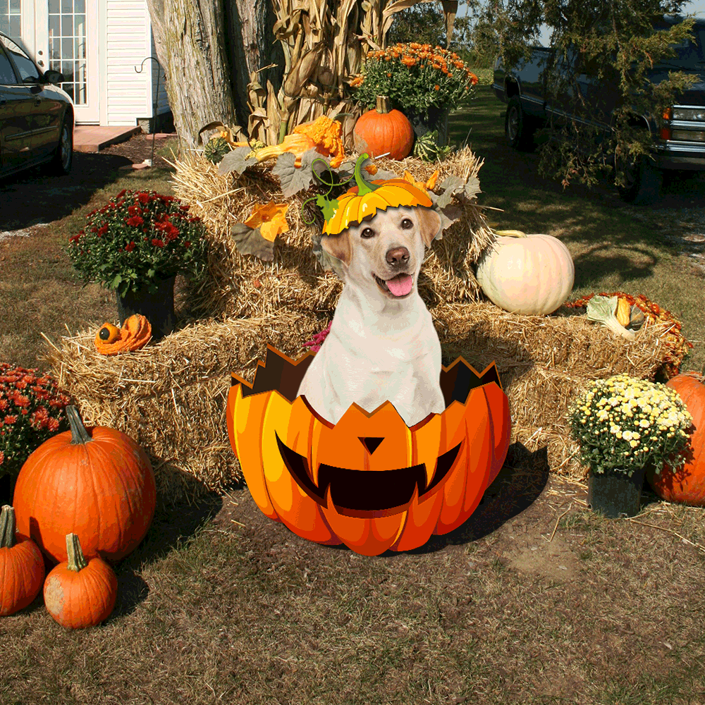 Yellow Labrador Retriever Pumpkin Halloween Garden Metal Sign QNK11MSv1