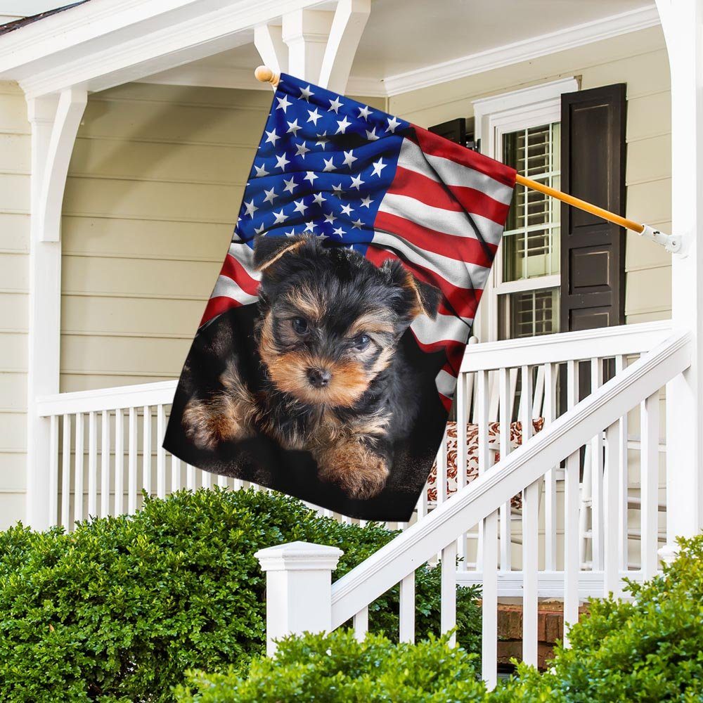 Yorkshire Terrier. American Patriot Flag