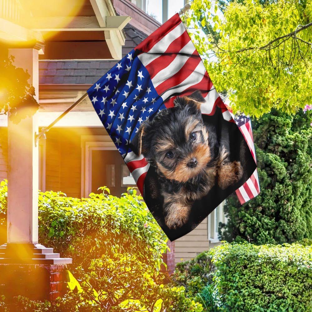 Yorkshire Terrier. American Patriot Flag