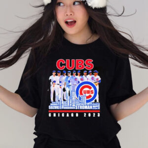 Official chicago Cubs 2023 Baseball Team Names Skyline T-shirt