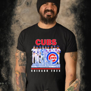 Official chicago Cubs 2023 Baseball Team Names Skyline shirt