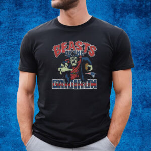 New England Patriots Beasts Of The Gridiron Shirt