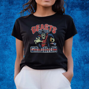 New England Patriots Beasts Of The Gridiron Shirts