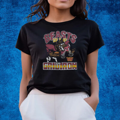 Washington Commanders Beasts Of The Gridiron Shirts