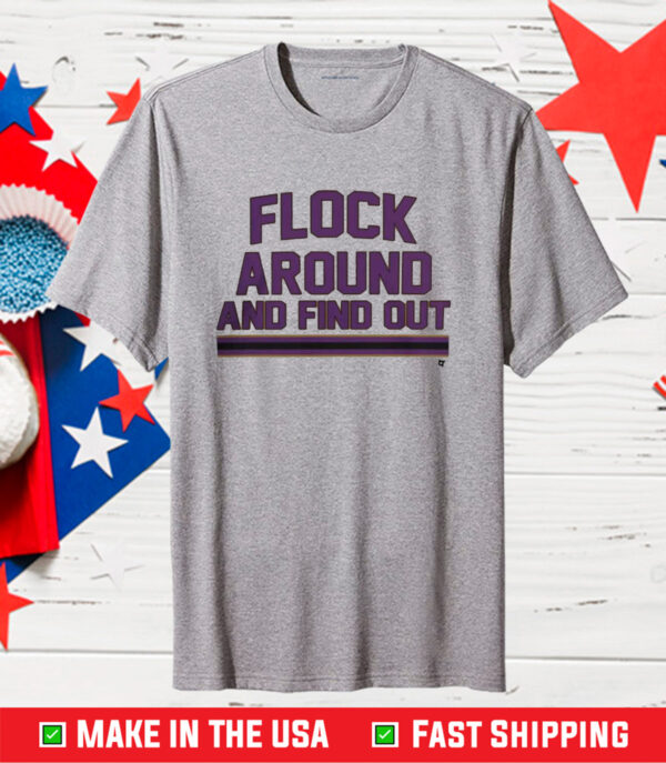 Baltimore Flock Around And Find Out TShirt