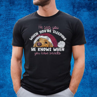 He Sees You When You’re Sleeping He Knows When You House Snacks T-Shirt