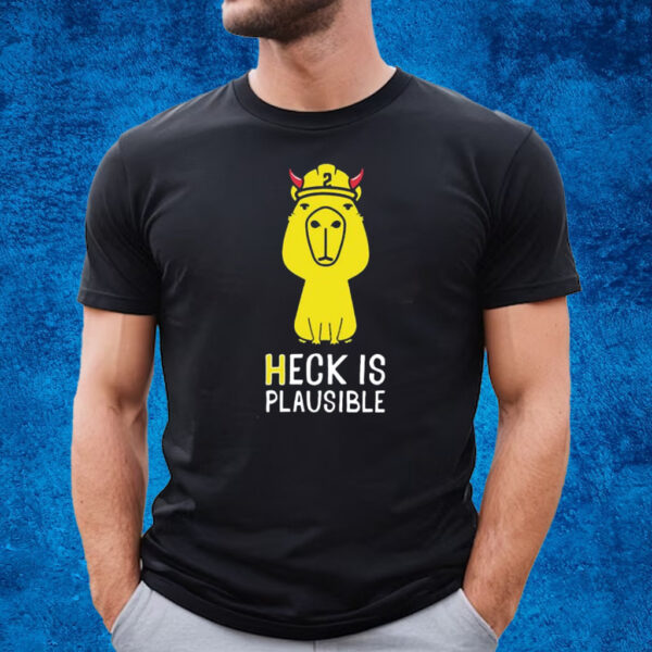 Heck Is Plausible 2023 T-Shirt