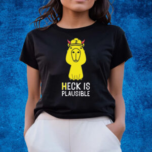 Heck Is Plausible 2023 T-Shirts