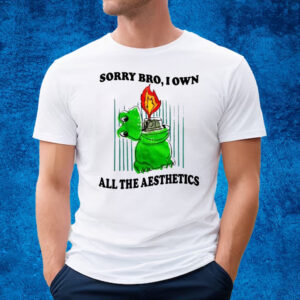 Sorry Bro I Own All The Aesthetics T-Shirt