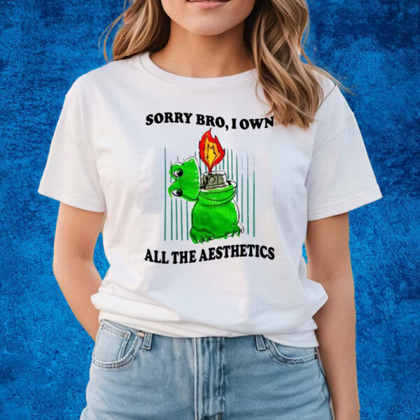 Sorry Bro I Own All The Aesthetics T-Shirts