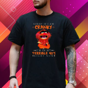 Sorry If I Am Cranky I’M In My Terrible 40’s Right Now T Shirt