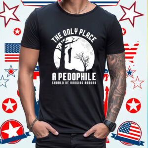 The Only Place A Pedophile Should Be Hanging Around Shirts