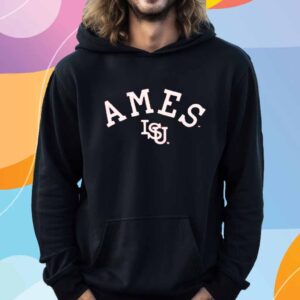 AMES VINTAGE CURVED LOGO HEAVYWEIGHT RED SHIRT