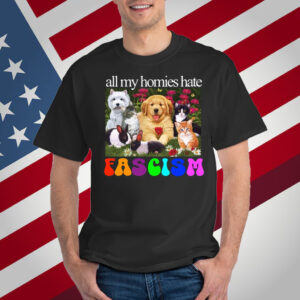 All My Homies Hate Fascism T-Shirt
