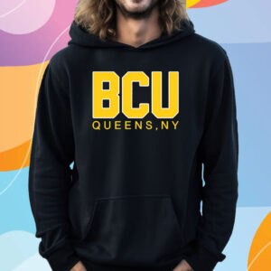 Baklava Flea Market Bcu Queens, Ny Shirt Hoodie