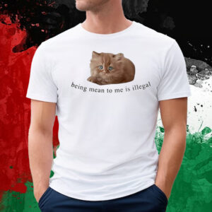 Cat Being Mean To Me Is Illegal T-Shirt