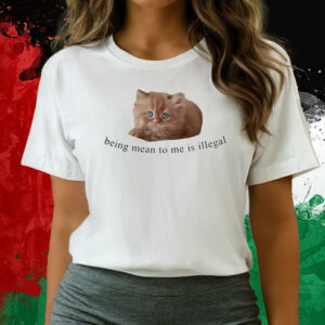 Cat Being Mean To Me Is Illegal T-Shirts