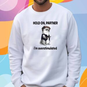 Connor Griffin Wearing Hold On Partner I’m Overstimulated T-Shirt