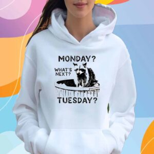 Got Funny Store Monday What's Next Tuesday T-Shirt