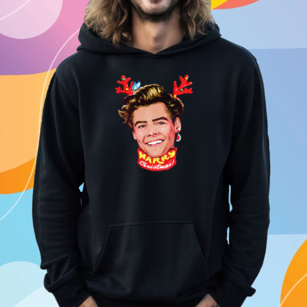 Harry Christmas 2023 T-Shirt Hoodie