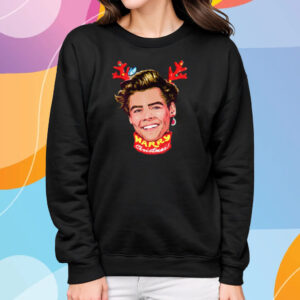 Harry Christmas 2023 T-Shirt Sweatshirt