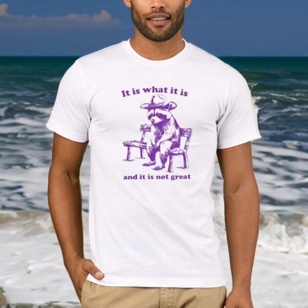 It Is What It Is And It Is Not Great Funny Shirt