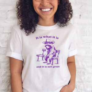 It Is What It Is And It Is Not Great Funny Shirts