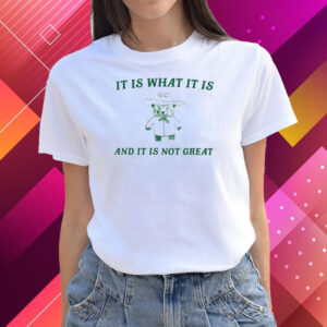 It Is What It Is And It Is Not Great Shirts