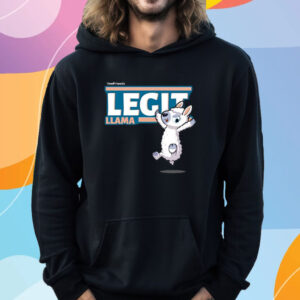 Legit Llama Character Comfort Adult T-Shirt Hoodie