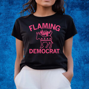 Not just a Democrat, but a FLAMING Democrat T-Shirts