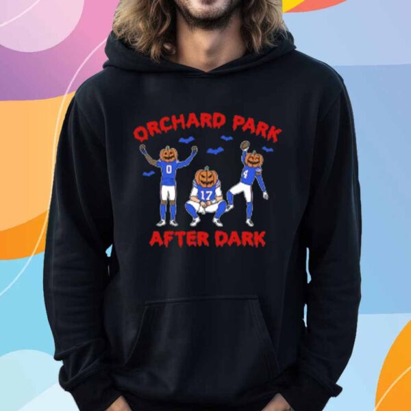 Orchard Park After Dark T-Shirt