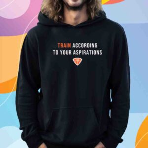 Pgcgear Train According To Your Aspirations Shirt