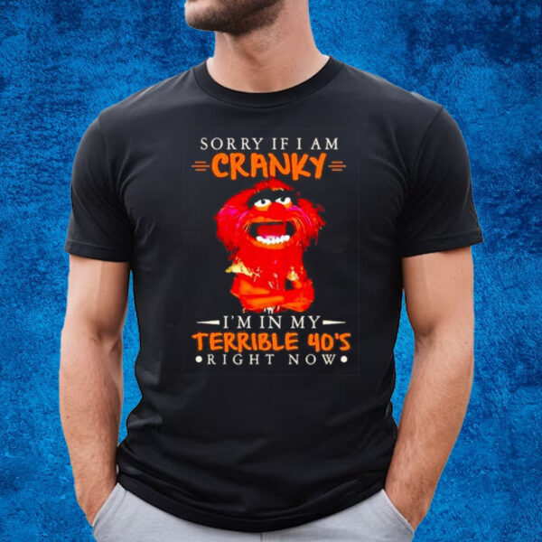 Sorry If I Am Cranky Im In My Terrible 40s Right Now T-Shirt