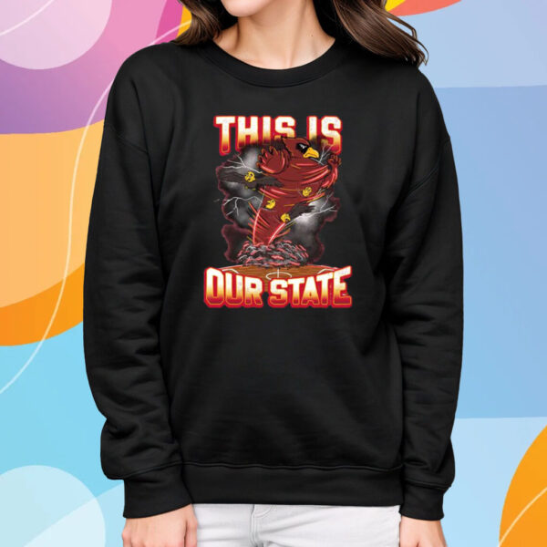 This Is Our State Is Arizona Cardinals T-Shirt Sweatshirt