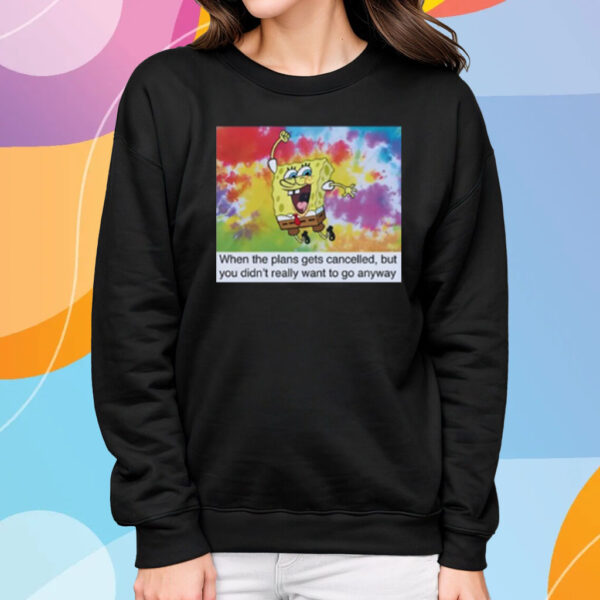 When The Plans Gets Cancelled But You Didn't Really Want To Go Anyway T-Shirt Sweatshirt