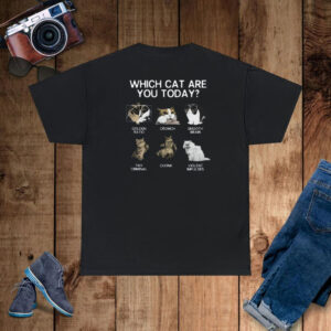 Which Cat Are You Today Golden Cromch Smooth Brain Tiny Criminal Chonk Violent Impulses T-Shirt