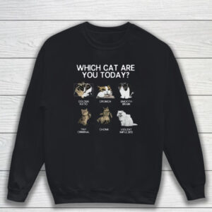 Which Cat Are You Today Golden Cromch Smooth Brain Tiny Criminal Chonk Violent Impulses T-Shirt Sweatshirt